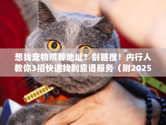 想找宠物殡葬地址？别瞎搜！内行人教你3招快速找到靠谱服务（附2025最新注意事项）