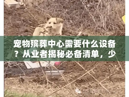 宠物殡葬中心需要什么设备？从业者揭秘必备清单，少一样都不行！