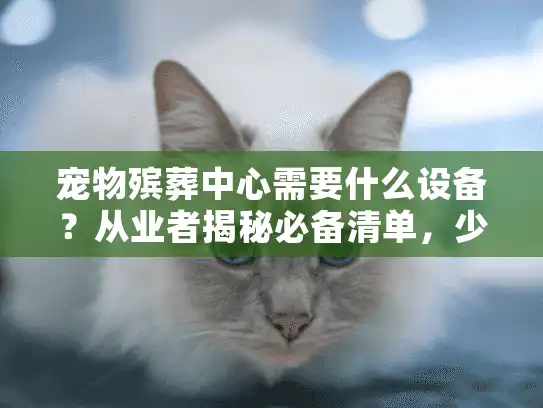宠物殡葬中心需要什么设备？从业者揭秘必备清单，少一样都不行！