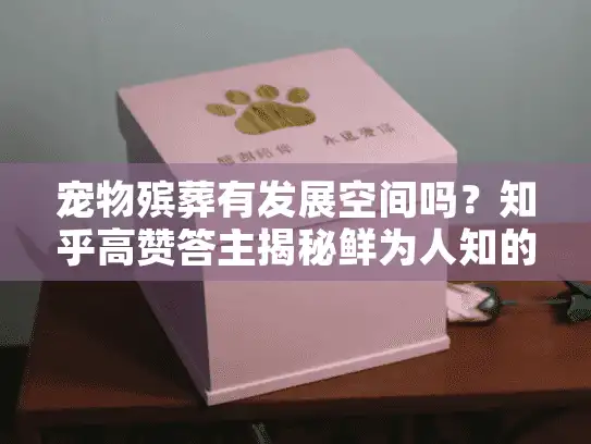 宠物殡葬有发展空间吗？知乎高赞答主揭秘鲜为人知的行业真相