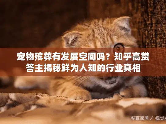 宠物殡葬有发展空间吗？知乎高赞答主揭秘鲜为人知的行业真相