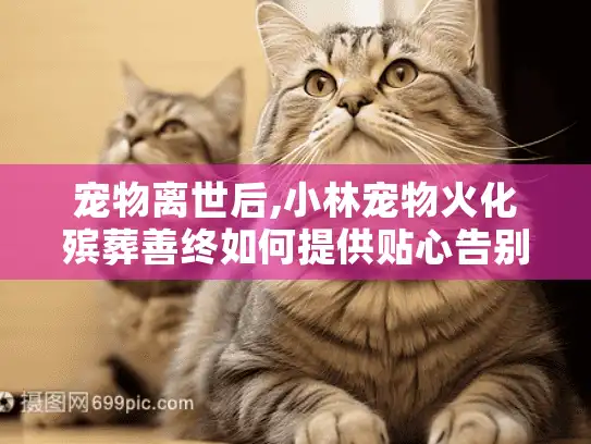 宠物离世后,小林宠物火化殡葬善终如何提供贴心告别服务?