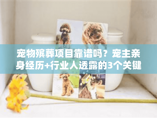 宠物殡葬项目靠谱吗？宠主亲身经历+行业人透露的3个关键标准