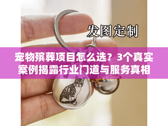宠物殡葬项目怎么选?3个真实案例揭露行业门道与服务真相 宠物殡葬项目怎么选?3个真实案例揭露行业门道与服务真相