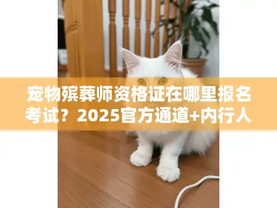 宠物殡葬师资格证在哪里报名考试？2025官方通道+内行人私藏考证攻略