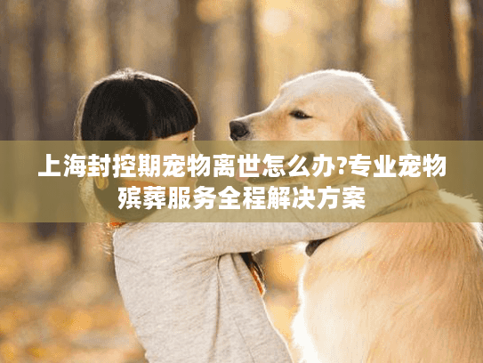 上海封控期宠物离世怎么办?专业宠物殡葬服务全程解决方案