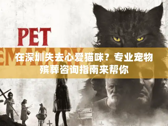在深圳失去心爱猫咪?专业宠物殡葬咨询指南来帮你 在深圳失去心爱猫咪?专业宠物殡葬咨询指南来帮你
