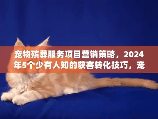宠物殡葬服务项目营销策略，2024年5个少有人知的获客转化技巧，宠物主人都在找！