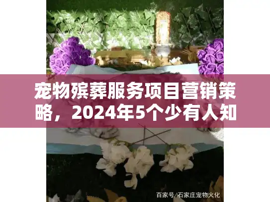 宠物殡葬服务项目营销策略，2024年5个少有人知的获客转化技巧，宠物主人都在找！