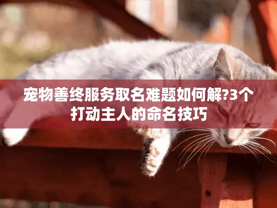 宠物善终服务取名难题如何解?3个打动主人的命名技巧