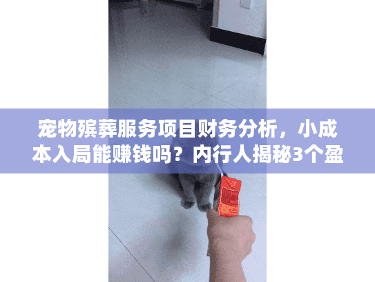 宠物殡葬服务项目财务分析，小成本入局能赚钱吗？内行人揭秘3个盈利关键点