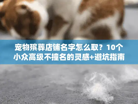 宠物殡葬店铺名字怎么取?10个小众高级不撞名的灵感+避坑指南 宠物殡葬店铺名字怎么取?10个小众高级不撞名的灵感+避坑指南