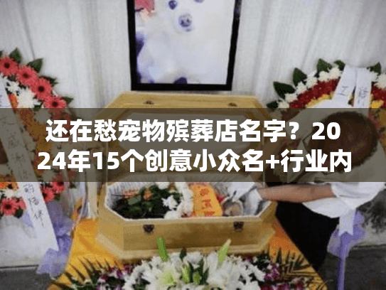 还在愁宠物殡葬店名字？2024年15个创意小众名+行业内行人技巧