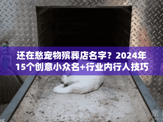 还在愁宠物殡葬店名字？2024年15个创意小众名+行业内行人技巧