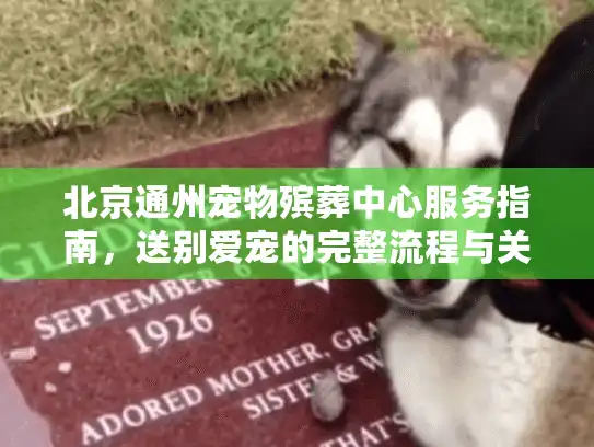北京通州宠物殡葬中心服务指南,送别爱宠的完整流程与关怀选择 北京通州宠物殡葬中心服务指南,送别爱宠的完整流程与关怀选择