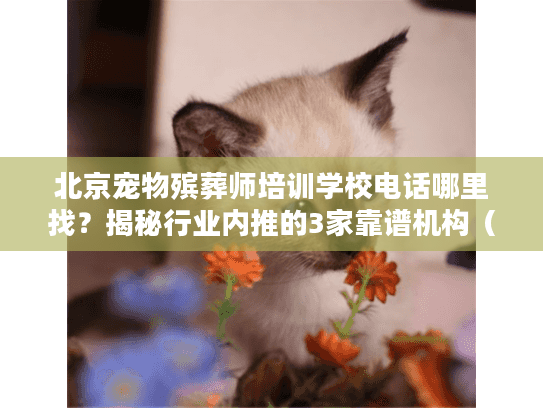 北京宠物殡葬师培训学校电话哪里找?揭秘行业内推的3家靠谱机构(附真实案例) 北京宠物殡葬师培训学校电话哪里找?揭秘行业内推的3家靠谱机构(附真实案例)