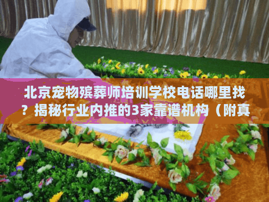 北京宠物殡葬师培训学校电话哪里找?揭秘行业内推的3家靠谱机构(附真实案例) 北京宠物殡葬师培训学校电话哪里找?揭秘行业内推的3家靠谱机构(附真实案例)