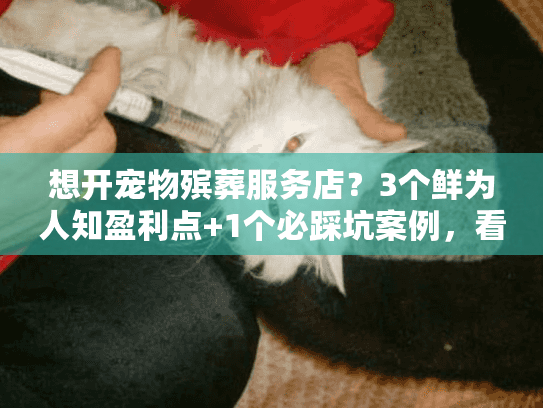 想开宠物殡葬服务店？3个鲜为人知盈利点+1个必踩坑案例，看完再决定！