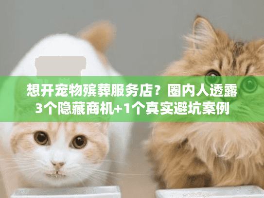 想开宠物殡葬服务店?圈内人透露3个隐藏商机+1个真实避坑案例 想开宠物殡葬服务店?圈内人透露3个隐藏商机+1个真实避坑案例