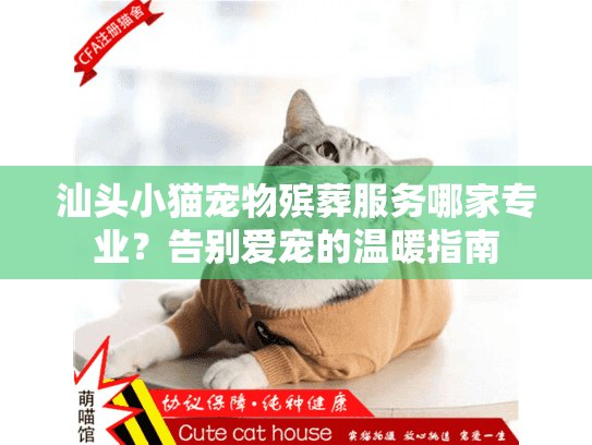 汕头小猫宠物殡葬服务哪家专业？告别爱宠的温暖指南