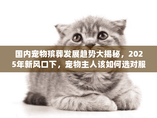 国内宠物殡葬发展趋势大揭秘，2025年新风口下，宠物主人该如何选对服务？