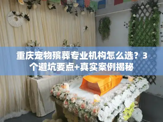 重庆宠物殡葬专业机构怎么选？3个避坑要点+真实案例揭秘