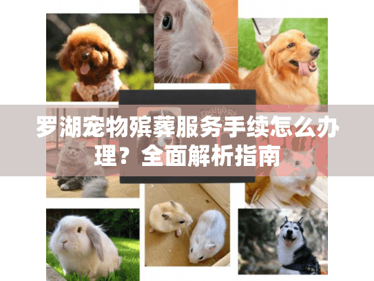 罗湖宠物殡葬服务手续怎么办理？全面解析指南