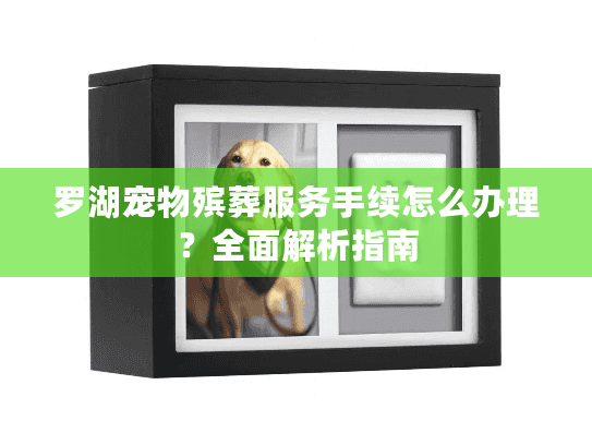罗湖宠物殡葬服务手续怎么办理？全面解析指南