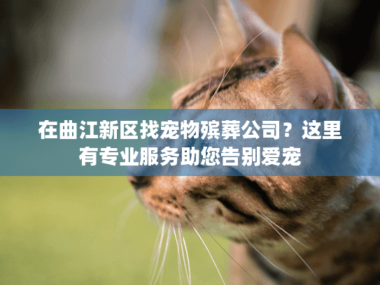 在曲江新区找宠物殡葬公司?这里有专业服务助您告别爱宠 在曲江新区找宠物殡葬公司?这里有专业服务助您告别爱宠