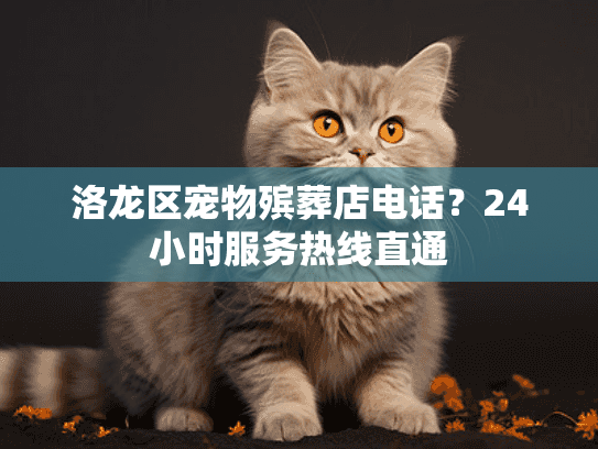 洛龙区宠物殡葬店电话？24小时服务热线直通