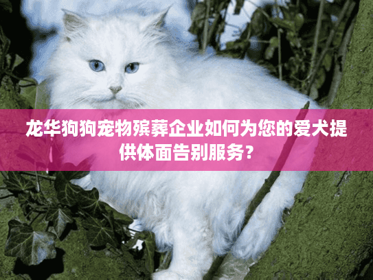 龙华狗狗宠物殡葬企业如何为您的爱犬提供体面告别服务？