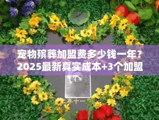 宠物殡葬加盟费多少钱一年？2025最新真实成本+3个加盟避坑案例