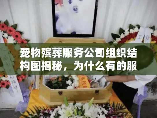 宠物殡葬服务公司组织结构图揭秘，为什么有的服务让主人更安心？