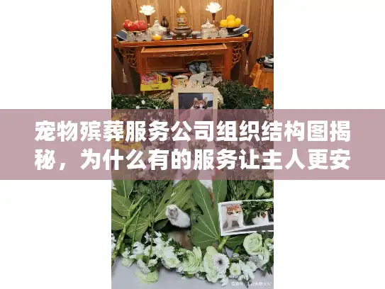 宠物殡葬服务公司组织结构图揭秘，为什么有的服务让主人更安心？