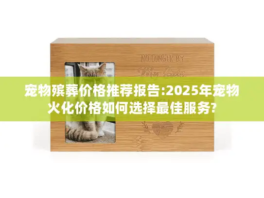 宠物殡葬价格推荐报告:2025年宠物火化价格如何选择最佳服务?