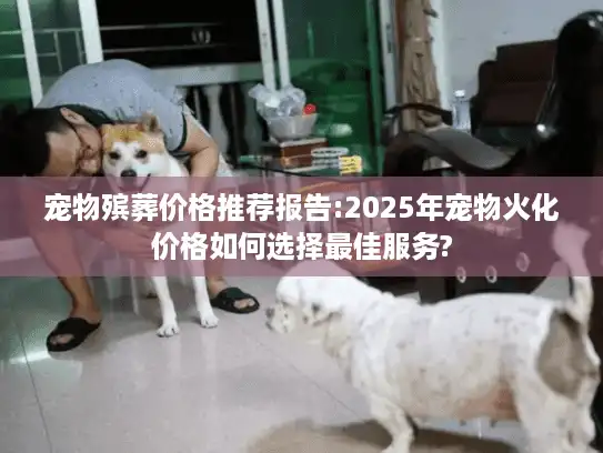 宠物殡葬价格推荐报告:2025年宠物火化价格如何选择最佳服务?