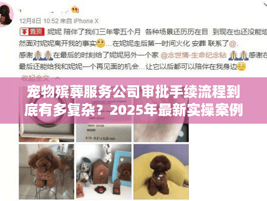 宠物殡葬服务公司审批手续流程到底有多复杂？2025年最新实操案例告诉你