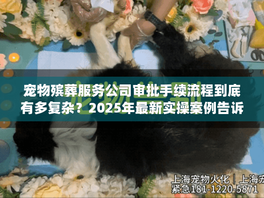 宠物殡葬服务公司审批手续流程到底有多复杂？2025年最新实操案例告诉你