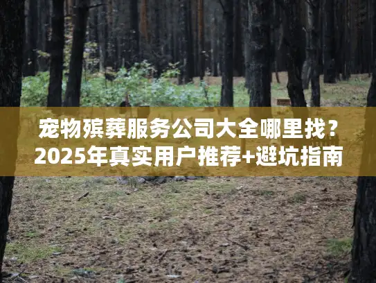 宠物殡葬服务公司大全哪里找？2025年真实用户推荐+避坑指南，别让爱宠最后一程留遗憾！