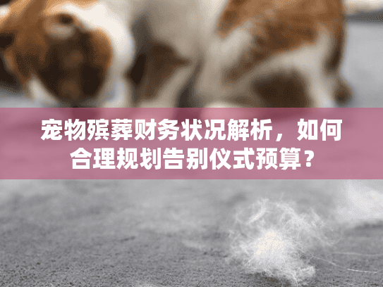 宠物殡葬财务状况解析，如何合理规划告别仪式预算？
