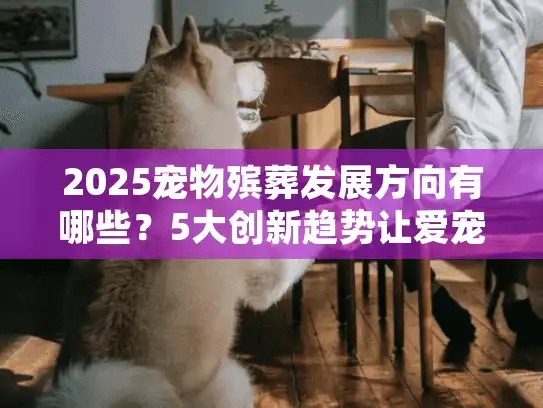 2025宠物殡葬发展方向有哪些？5大创新趋势让爱宠告别更温暖