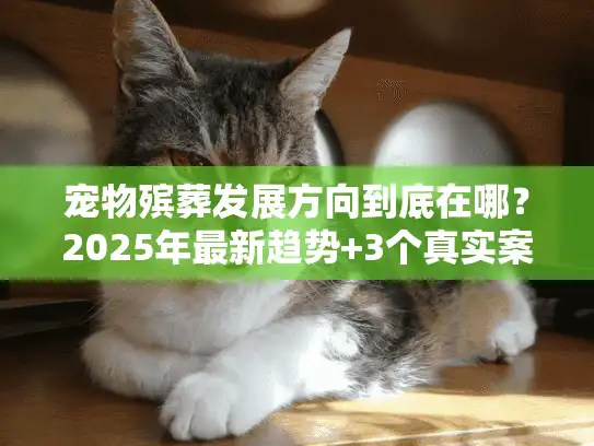 宠物殡葬发展方向到底在哪？2025年最新趋势+3个真实案例告诉你答案