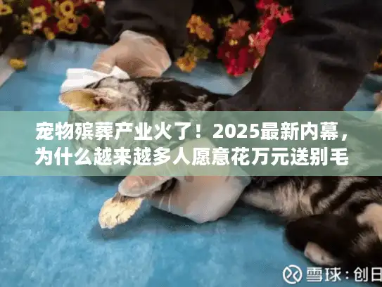 宠物殡葬产业火了!2025最新内幕,为什么越来越多人愿意花万元送别毛孩子? 宠物殡葬产业火了!2025最新内幕,为什么越来越多人愿意花万元送别毛孩子?