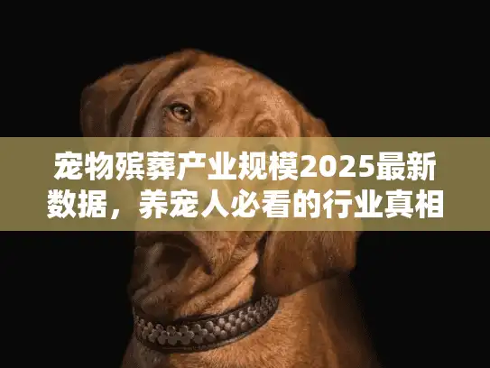 宠物殡葬产业规模2025最新数据,养宠人必看的行业真相你了解多少? 宠物殡葬产业规模2025最新数据,养宠人必看的行业真相你了解多少?