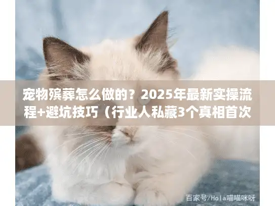 宠物殡葬怎么做的?2025年最新实操流程+避坑技巧(行业人私藏3个真相首次公开) 宠物殡葬怎么做的?2025年最新实操流程+避坑技巧(行业人私藏3个真相首次公开)