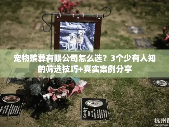宠物殡葬有限公司怎么选?3个少有人知的筛选技巧+真实案例分享 宠物殡葬有限公司怎么选?3个少有人知的筛选技巧+真实案例分享