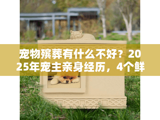 宠物殡葬有什么不好?2025年宠主亲身经历,4个鲜为人知的行业问题 宠物殡葬有什么不好?2025年宠主亲身经历,4个鲜为人知的行业问题
