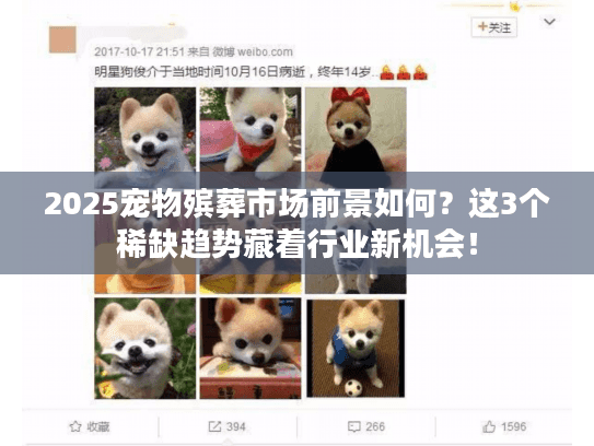 2025宠物殡葬市场前景如何？这3个稀缺趋势藏着行业新机会！