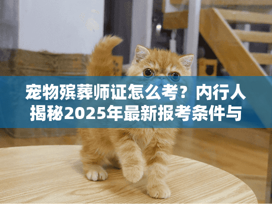 宠物殡葬师证怎么考？内行人揭秘2025年最新报考条件与行业前景