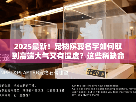 2025最新！宠物殡葬名字如何取到高端大气又有温度？这些稀缺命名逻辑90%的人不知道！